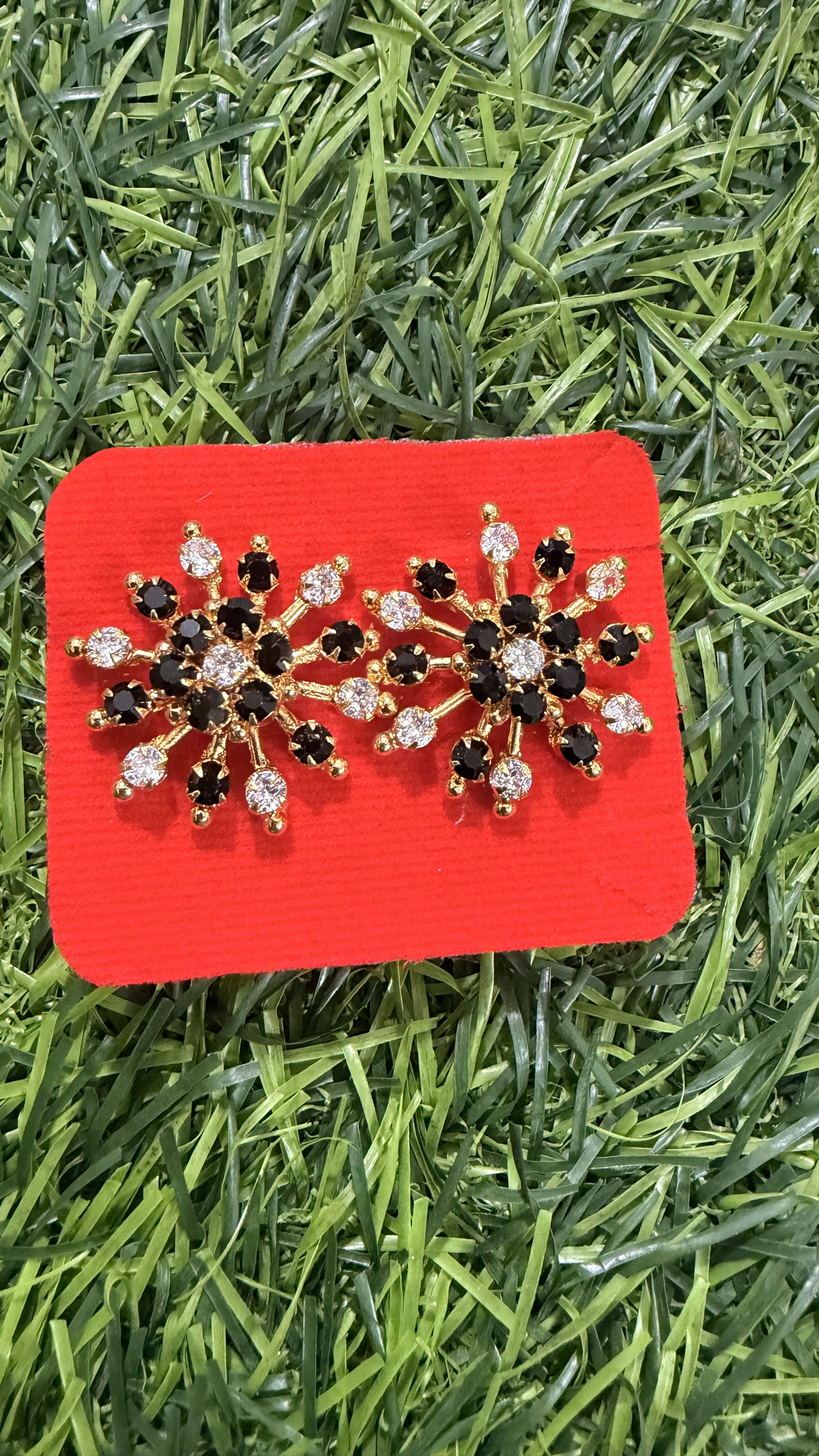 Changeable Earrings